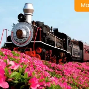 TOUR UVA E VINHO + MARIA FUMAÇA + ALMOÇO PREMIUM