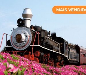 Tour Uva e Vinho + Maria Fumaça + Almoço Premium