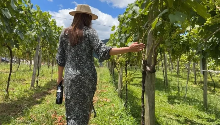 Jolimont-em-Canela-RS-oferece-tour-vinicola-Foto-Divulgacao-Vitivinicola-Jolimont